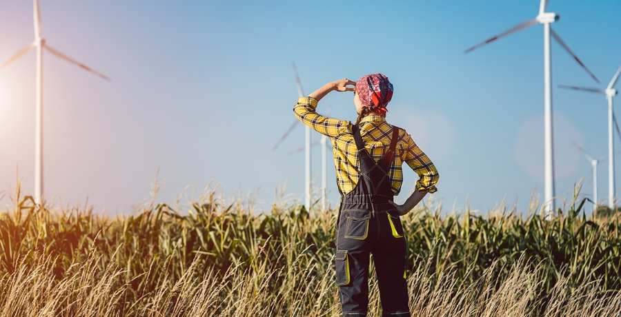 Frau im Kornfeld mit Windrädern