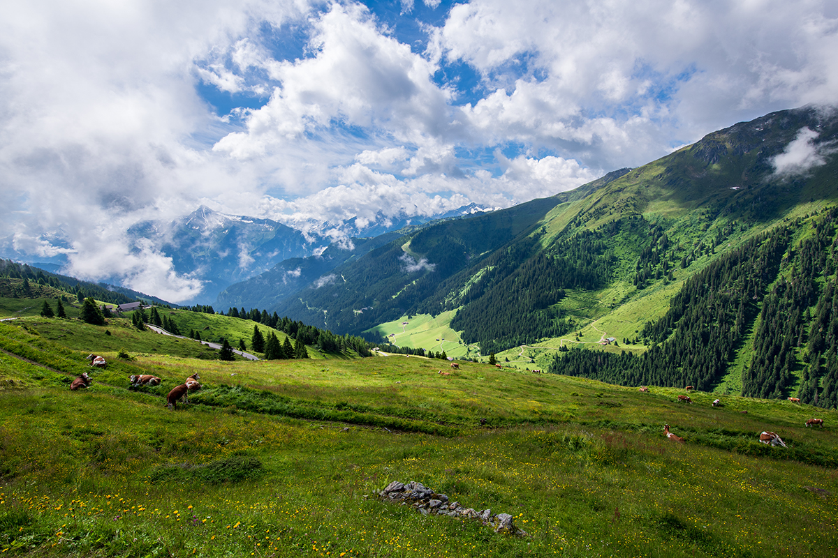 Mountain landscape